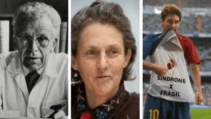 Trastorno del espectro autista: imagen de diferentes supuestos autistas