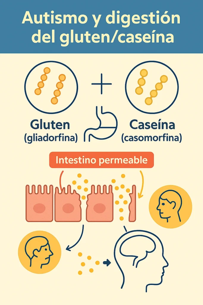 Dieta sin gluten y caseina Dieta sin gluten y caseina para el autismo