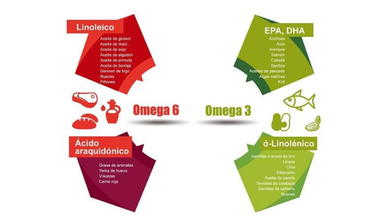 Para qué sirve el omega 3, diversas fuentes de omega 3 y 6