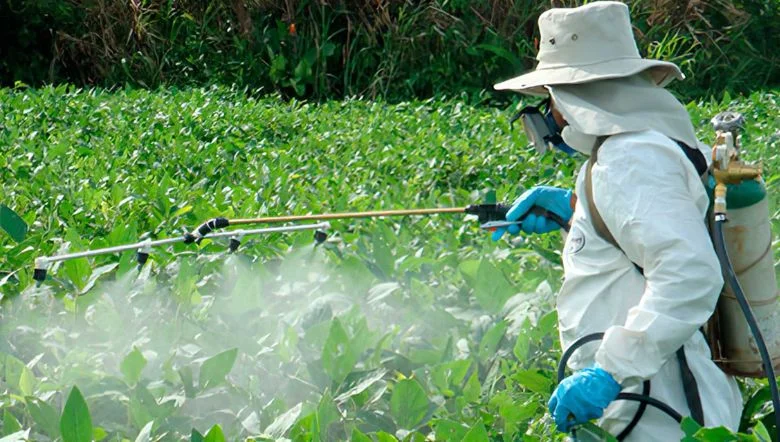 Los residuos de los agroquímicos contaminan el agua causando multiples problemas en la sociedad.